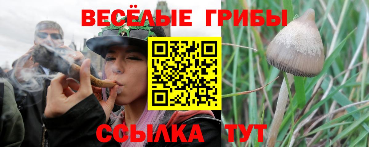Псилоцибиновые грибы прущие грибы Тавда