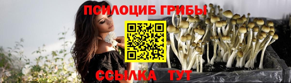 Псилоцибиновые грибы Psilocybe  Псилоцибиновые грибы мицелий  Вход с VPN  Тавда 